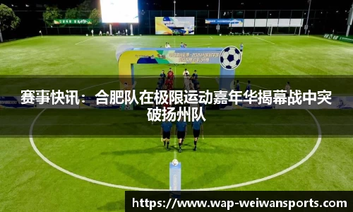 微玩体育平台