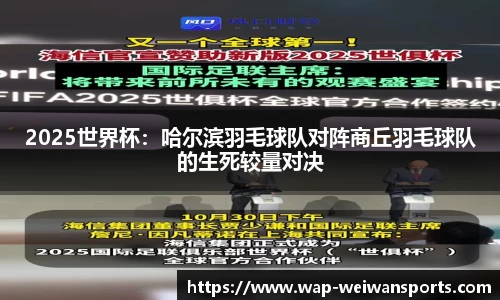 微玩体育官网