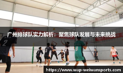 微玩体育官网